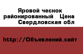 Яровой чеснок районированный › Цена ­ 150 - Свердловская обл.  »    